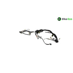 Faisceau électrique APRILIA RXV 450 2006 à 2009