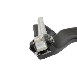 Platine arrière droite TRIUMPH TRIDENT 660 2021 à 2025