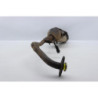Ligne d'échappement HONDA FES 125 S WING ABS 2011 à 2011