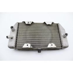 Radiateur d'eau HONDA NSS 250 FORZA ABS 2005 à 2006