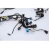 Faisceau électrique TRIUMPH SPRINT 955 RS 2000 à 2003