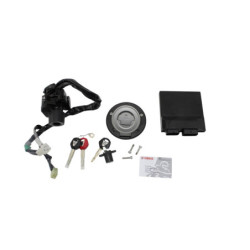 Kit neiman complet codé YAMAHA MT 09 900 ABS 2017 à 2020