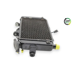 Radiateur d'eau YAMAHA TDM 900 ABS 2002 à 2014