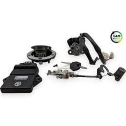 Kit neiman complet codé YAMAHA MT03 660 2006 à 2014