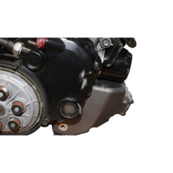 Moteur DUCATI STREETFIGHTER 1098 S 2009 à 2013