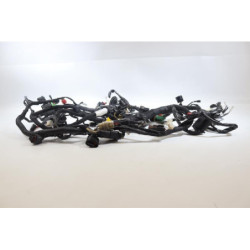 Faisceau électrique KTM RC 125 2014 à 2016
