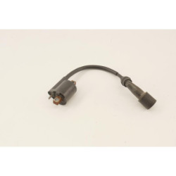 Bobine d'allumage YAMAHA YP 125 MAJESTY 2003 à 2006