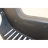 Grille de radiateur QUADRO D 350 2012 à 2013