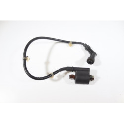 Bobine d'allumage HONDA PES 125 2006 à 2007