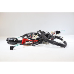 Faisceau électrique JM MOTORS MIA RS 50 2020 2021