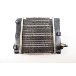 Radiateur d'eau KYMCO G DINK 125 2012 à 2017