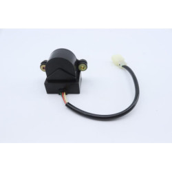 Capteur de chute HONDA CB 1300 2003 à 2005