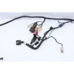 Faisceau électrique NECO ONE RACING 50 2020 à 2021
