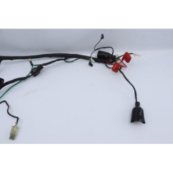 Faisceau électrique NECO ONE RACING 50 2020 à 2021