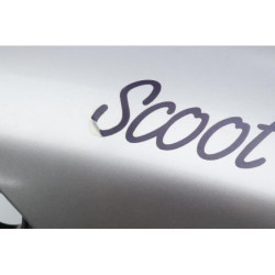 Coffre PEUGEOT SCOOT ELEC 50 1997 à 2005