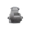 Support de plaque PEUGEOT SCOOT ELEC 50 1997 à 2005