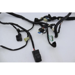 Faisceau électrique YAMAHA NEOS 50 4 2009 à 2010