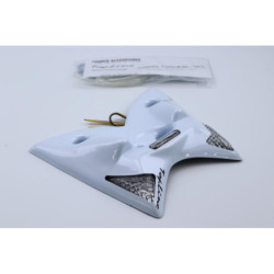 Support de plaque SUZUKI GSXR 1000 2003 à 2004
