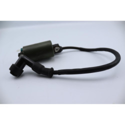 Bobine d'allumage HONDA NSS 250 FORZA ABS 2005 à 2006