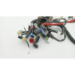 Faisceau électrique HUSQVARNA VITPILEN 401 2020 à 2024