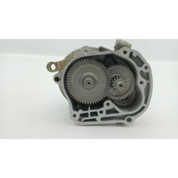 Carter de transmission TNT MOTOR ROMA 50 2020 à 2022