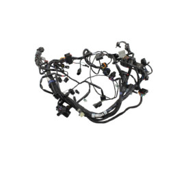 Faisceau électrique TRIUMPH TRIDENT 660 2021 à 2025