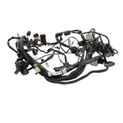 Faisceau électrique TRIUMPH TRIDENT 660 2021 à 2025