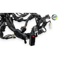 Faisceau électrique YAMAHA MT09 900 ABS 2024 à 2026