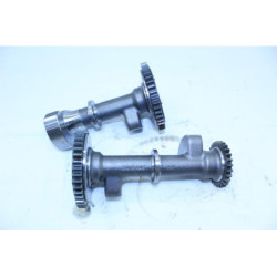 Balancier d'équilibrage YAMAHA TDM 900 2002 à 2011