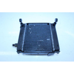 Radiateur d'eau KYMCO DINKSTREET 300 ABS 2013 à 2014