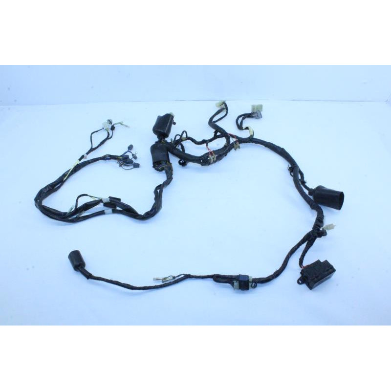 Faisceau électrique YAMAHA TDM 850 1996 à 2002