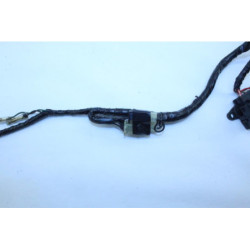Faisceau électrique YAMAHA TDM 850 1996 à 2002