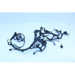 Faisceau électrique KAWASAKI NINJA 300 2013 à 2015