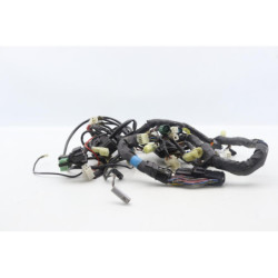Faisceau électrique YAMAHA TDM 900 2002 à 2011