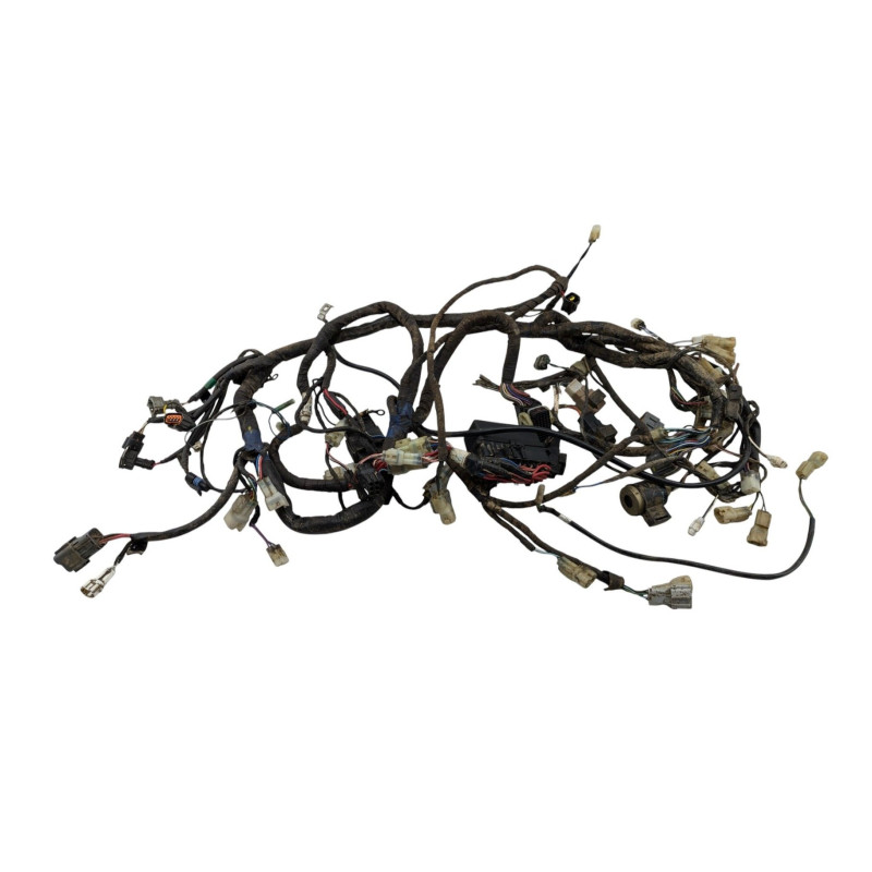Faisceau électrique TGB BLADE 550 SE FI 2013 à 2014