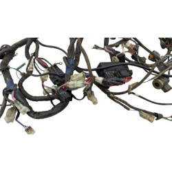 Faisceau électrique TGB BLADE 550 SE FI 2013 à 2014