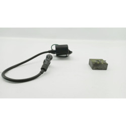 Boitier CDI RIEJU MRX 50 2001 à 2008