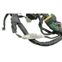 Faisceau électrique HONDA NSS 250 FORZA ABS 2005 à 2006