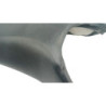 Selle conducteur YAMAHA YZF 600 R6 2003 à 2004