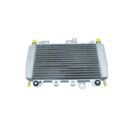 Radiateur d'eau PIAGGIO X10 125 ABS 2012 à 2015