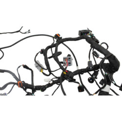 Faisceau électrique CF MOTO NK 800 SPORT ABS 2023 à 2025