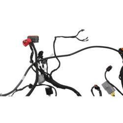 Faisceau électrique CF MOTO NK 800 SPORT ABS 2023 à 2025