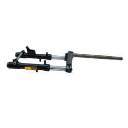 Fourche complète PEUGEOT CITYSTAR 50 2011 à 2017
