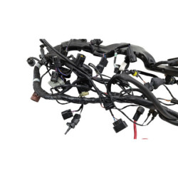 Faisceau électrique TRIUMPH STREET TRIPLE 765 RS ABS 2023 à 2024