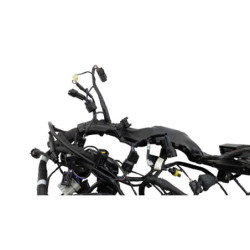 Faisceau électrique TRIUMPH STREET TRIPLE 765 RS ABS 2023 à 2024
