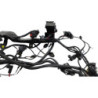 Faisceau électrique TRIUMPH STREET TRIPLE 765 RS ABS 2023 à 2024