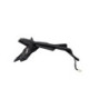 Support de plaque HONDA CB 125 R ABS 2021 à 2025