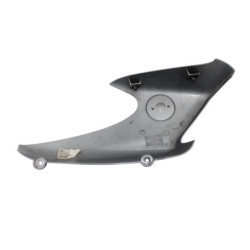 Ecope de radiateur gauche BMW R 850 R 2026