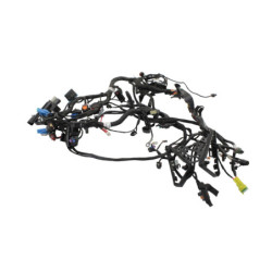 Faisceau électrique HARLEY DAVIDSON ST 1250 PAN AMERICA ABS 2021 à 2024