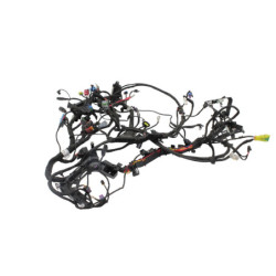 Faisceau électrique HARLEY DAVIDSON ST 1250 PAN AMERICA ABS 2021 à 2024